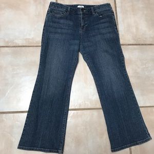 Ann Taylor Loft Petite Jeans